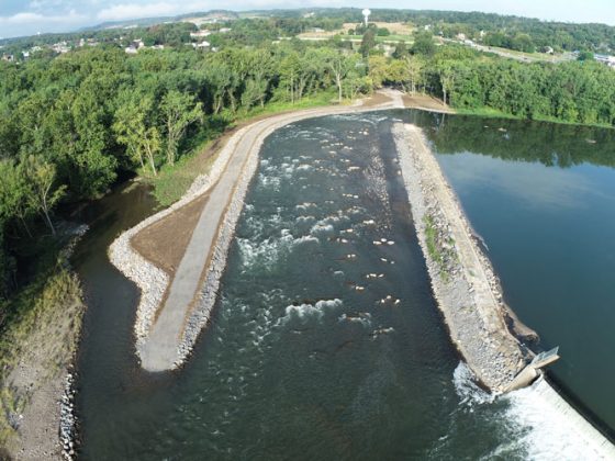 An aerial view of water running through the pools and riffles of a channel that aquatic species swim through to bypass a dam.