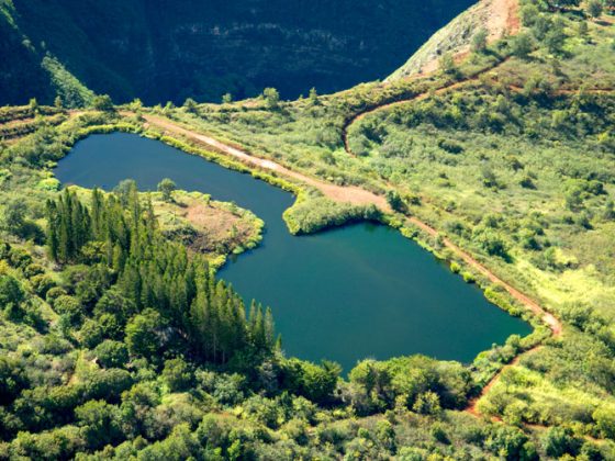 An aerial picture of a water reservoir surrounded by grass and trees in Maui, Hawaii.