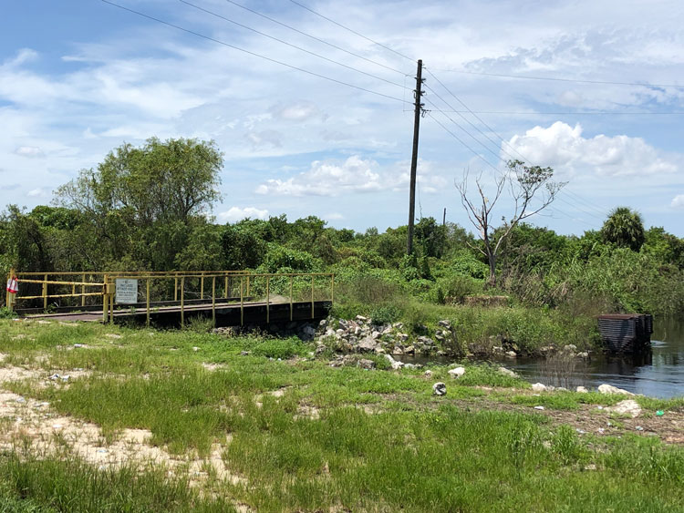 An abandoned bridge over a water-filled canal is surrounded by overgrown grass and brush.