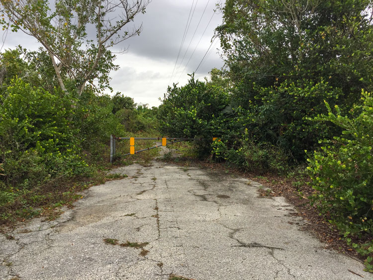 A crumbling, abandoned road has a metal gate across it. Overgrown trees hang over the road.
